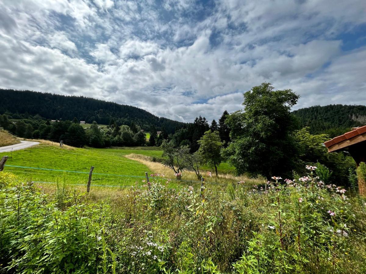 Stone Lake Luxury Lodge Gerardmer Luaran gambar