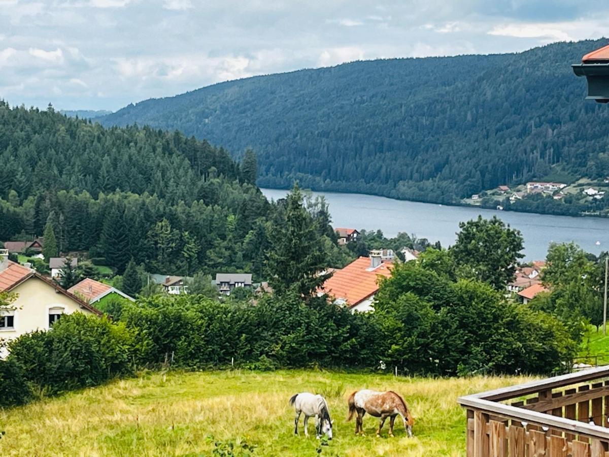 Stone Lake Luxury Lodge Gerardmer Luaran gambar
